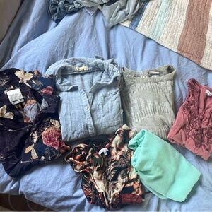 Light Blue Button Down Shirt in Blue and Pink